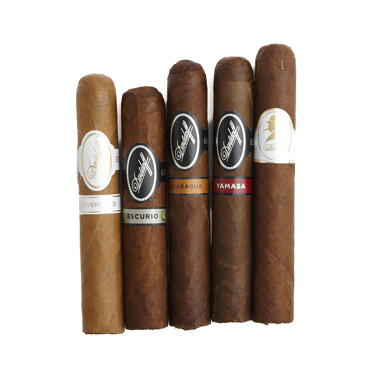 Davidoff Gift Selection Robusto Cigars - Image 3