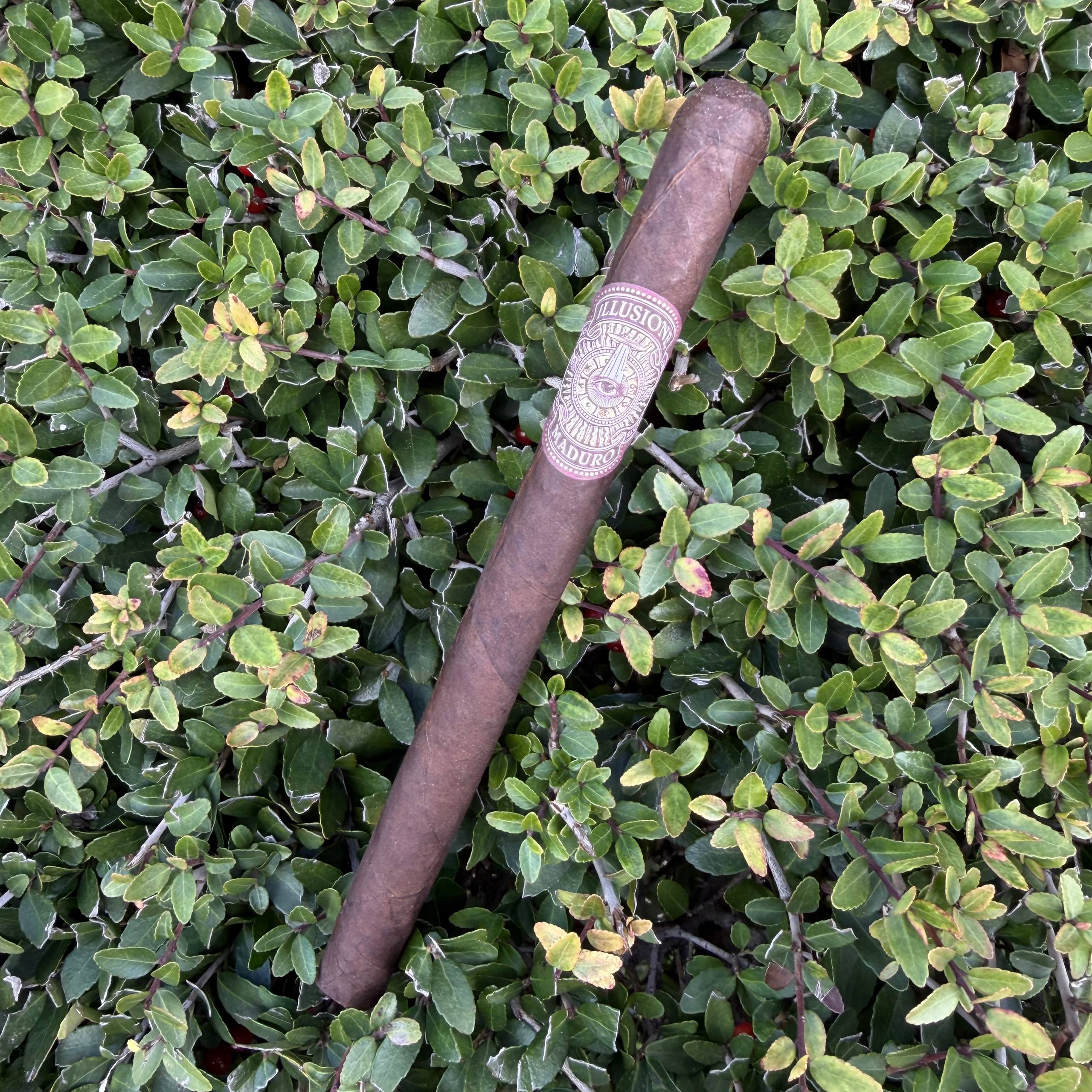 Illusione Original Documents Maduro HL Lancero - Image 3