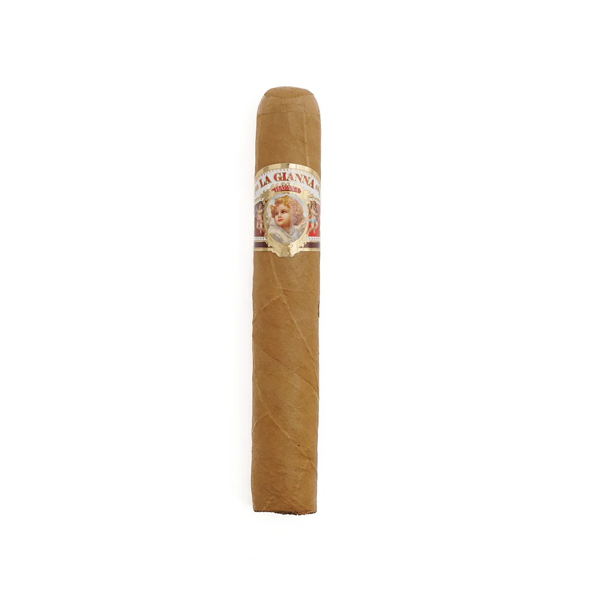 La Gianna Robusto - Image 2