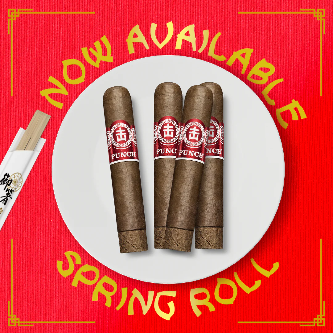 Punch Spring Roll 2023 LE Robusto - Image 3