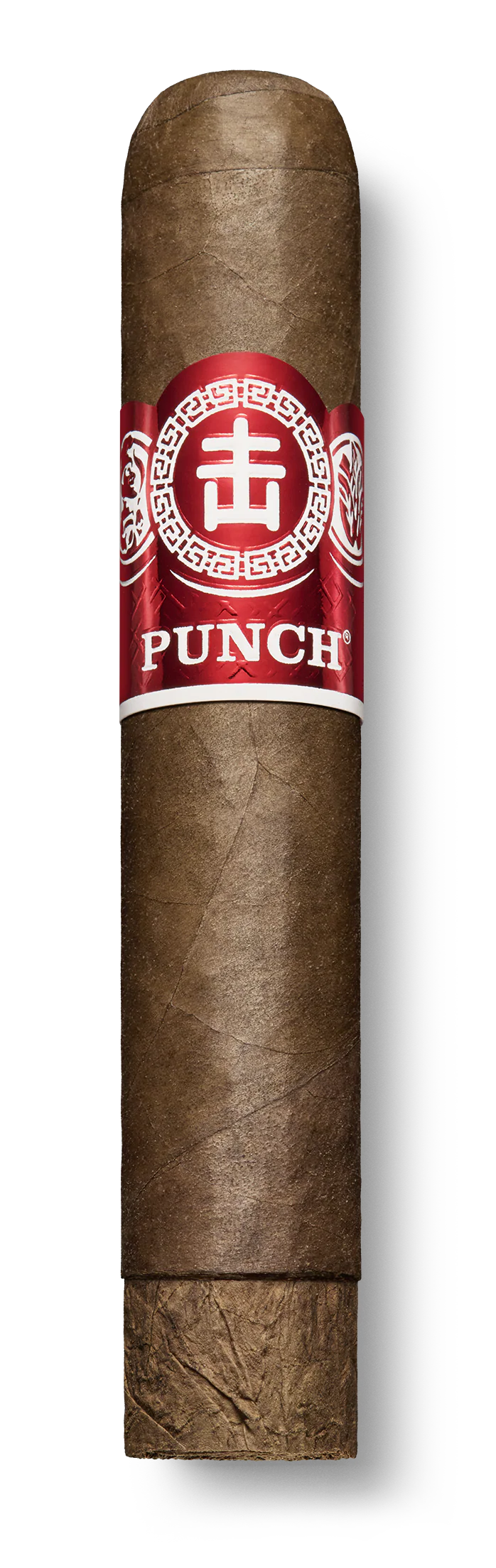Punch Spring Roll 2023 LE Robusto - Image 4