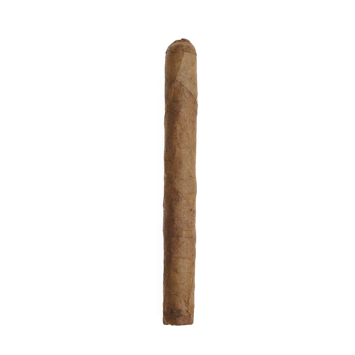 Trader Jack's Aromatic Lonsdale - Image 3