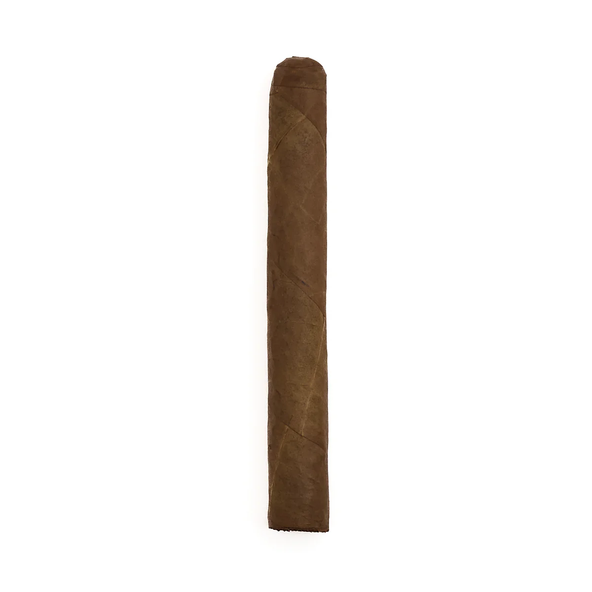 Warped Lirio Rojo 2023 - Image 2
